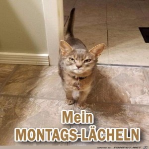 Begr&uuml;&szlig;ungsbild
