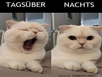 Tags�ber und nachts
