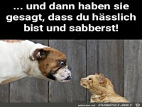Du bist h�sslich