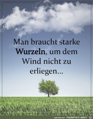Starke-Wurzeln.jpg auf www.funpot.net