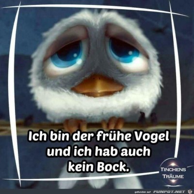 Ich-bin-der-fr&uuml;he-Vogel.jpg von Sia