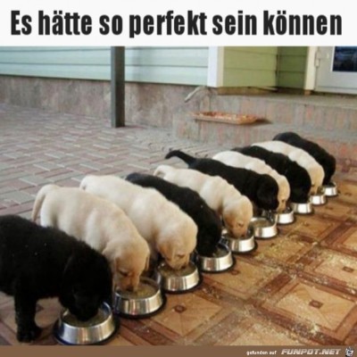 Es-hätte-perfekt-sein-können.jpg von Clara