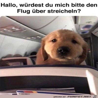 Streichel-mich.jpg von Cedric