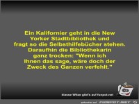 Ein Kalifornier geht in die New Yorker Stadtbibliothek und