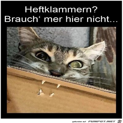 Heftklammern.jpg von Uhldinger
