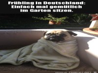 Frühling in Deutschland