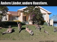 Ander Länder
