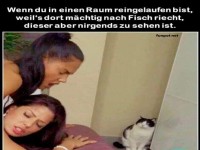 Komischer Geruch und neugierige Katze