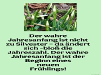 der wahre jahresanfang