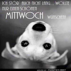 Begrüßungsbild