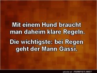 Hundewetter: Mann an die Leine!