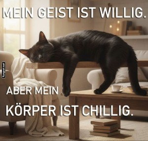 Katzen-Yoga-auf-hchstem-Niveau.jpg auf www.funpot.net