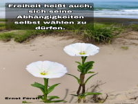 freiheit heißt auch