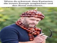 Kastanien-Krone gegen Stresschaos