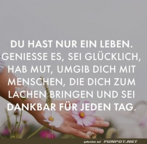 Blumige-Ratschl�ge-f�r-Lebensfreude!.jpg auf www.funpot.net