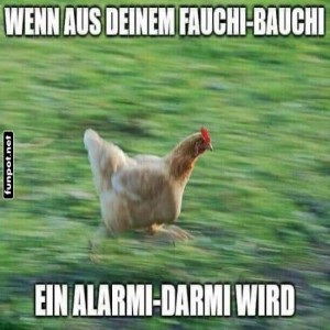 Wenn-das-Huhn-den-Turbo-einlegt!.jpg von Goldlocke