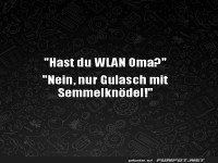 Oma's WLAN-K�che: Gib mir Gulsch!