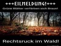 Herbstliche Verschw�rung aufgedeckt!
