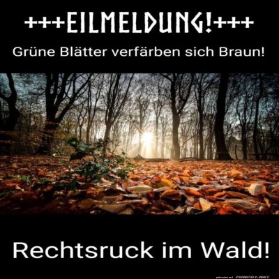 Herbstliche-Verschw&ouml;rung-aufgedeckt!.jpg von Liebeswolke