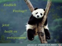 endlich freitag
