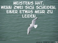 spruch-scheiden-leiden