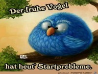 der fruehe Vogel