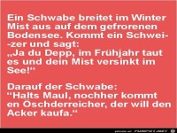 ein Schwabe breitet im Winter Mist aus........