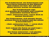 ein sch�ferhund, ein Dobermann und eine Katze