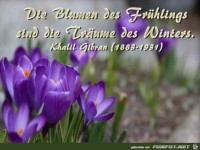 Fruehlingserwachen