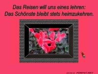 Das Reisen will uns lehren