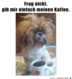 Frag-nicht---ich-brauche-nur-Kaffee.jpg auf www.funpot.net