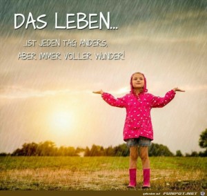 Das-Leben-ist-jeden-Tag-anders.jpg auf www.funpot.net