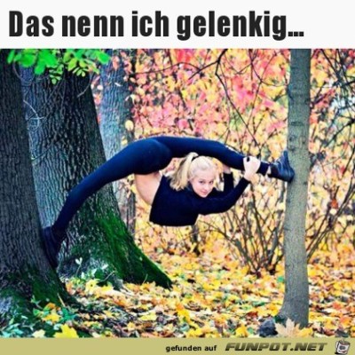 Sehr-gelenkig.jpg von Damon