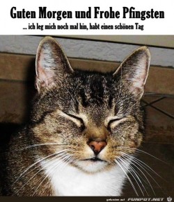 Frohe-Pfingsten.jpg auf www.funpot.net