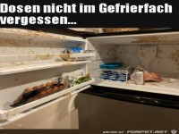 Dosen im Gefrierfach vergessen