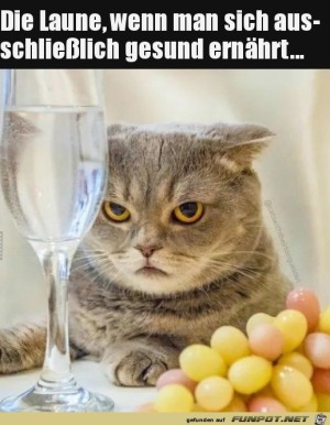 Nur-gesundes-Zeug.jpg auf www.funpot.net