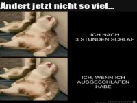 Sieht genau gleich aus