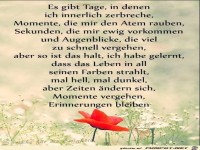 Es gibt Tage