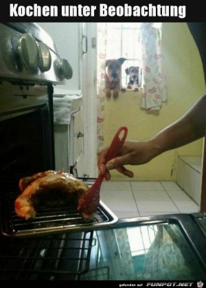 Kochen-unter-Beobachtung.jpg auf www.funpot.net