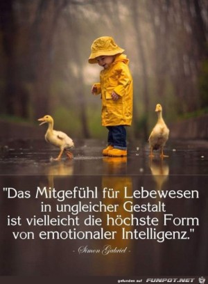 Mitgef�hl.jpg auf www.funpot.net