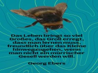 das leben bringt so viel groes