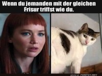 Katzen im Frisuren-Doppelg�nger Club
