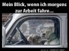 weiter