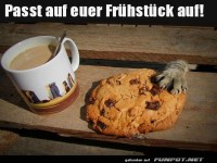 Der Keksdieb schl�gt zu!