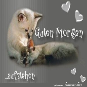 Guten-Morgen.jpg von Leona