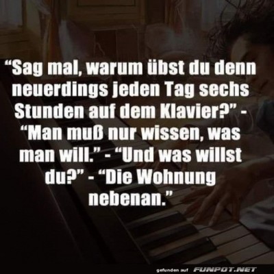 Klavier-aus-Leidenschaft-oder-Nachbarschaft?.jpg von Josie-96