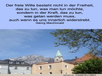 Der freie Wille