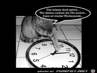 Einfach zur�ck drehen