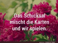 Das Schicksal