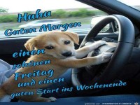 Guten Morgen